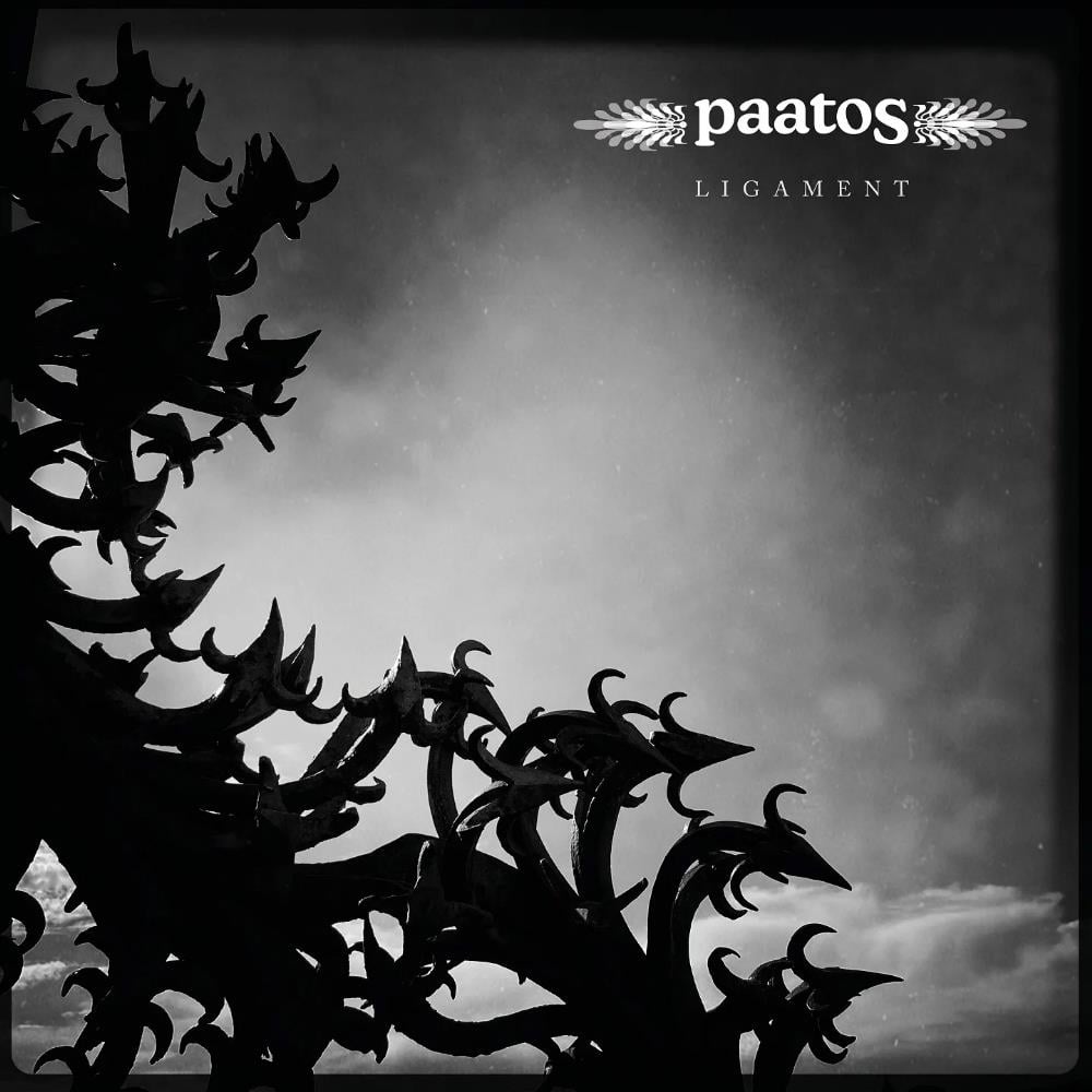 PAATOS - Ligament