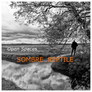 SOMBRE REPTILE - Open Spaces