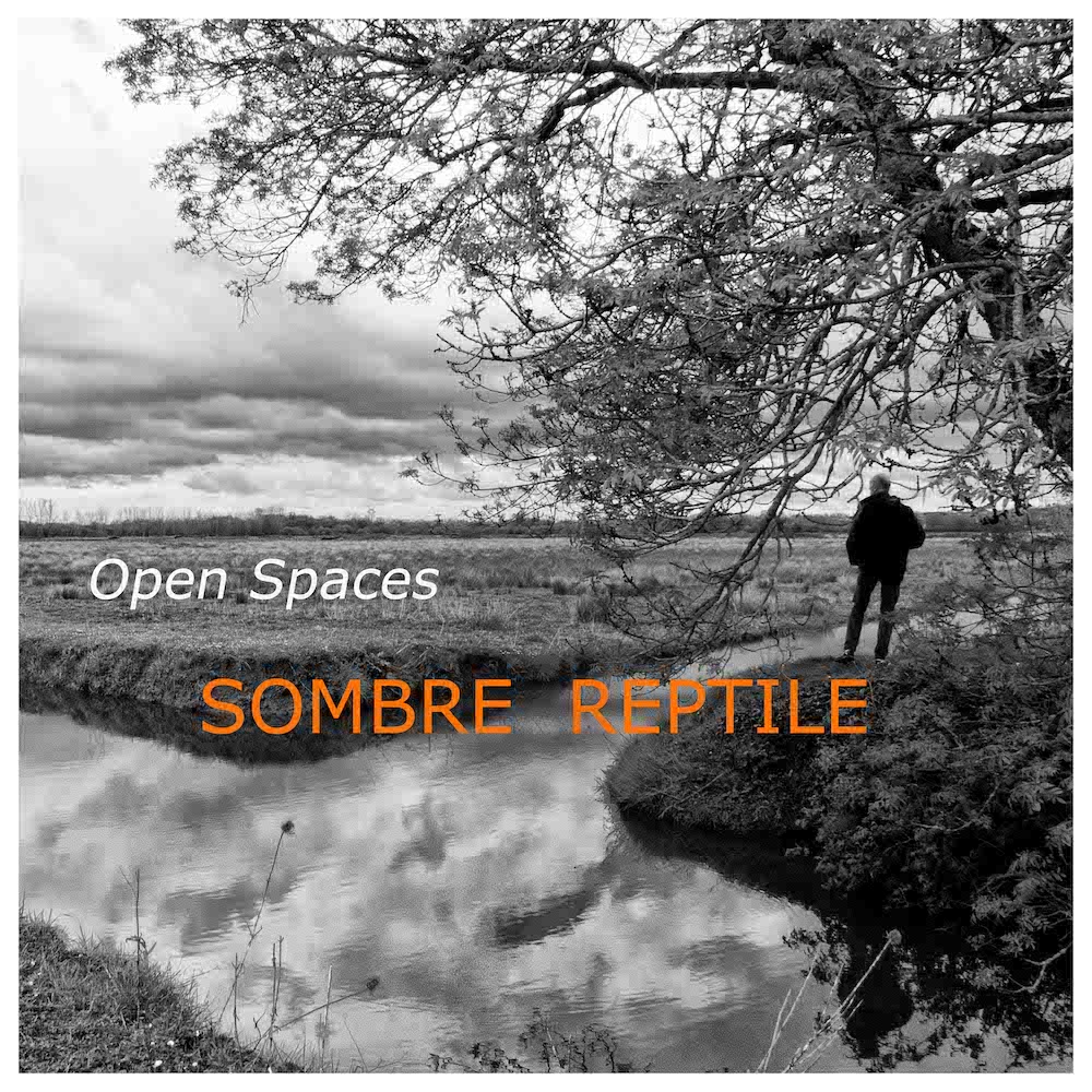 SOMBRE REPTILE - Open Spaces
