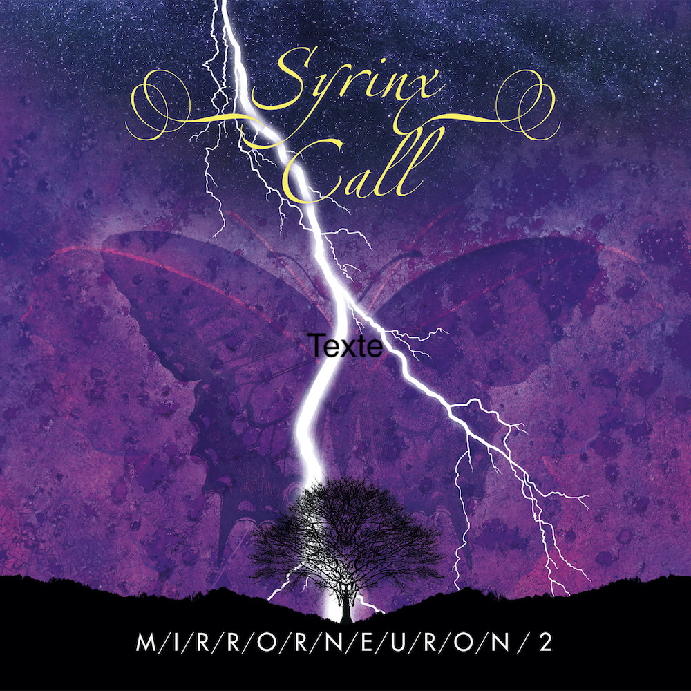 SYRINX CALL - Mirrorneuron 2