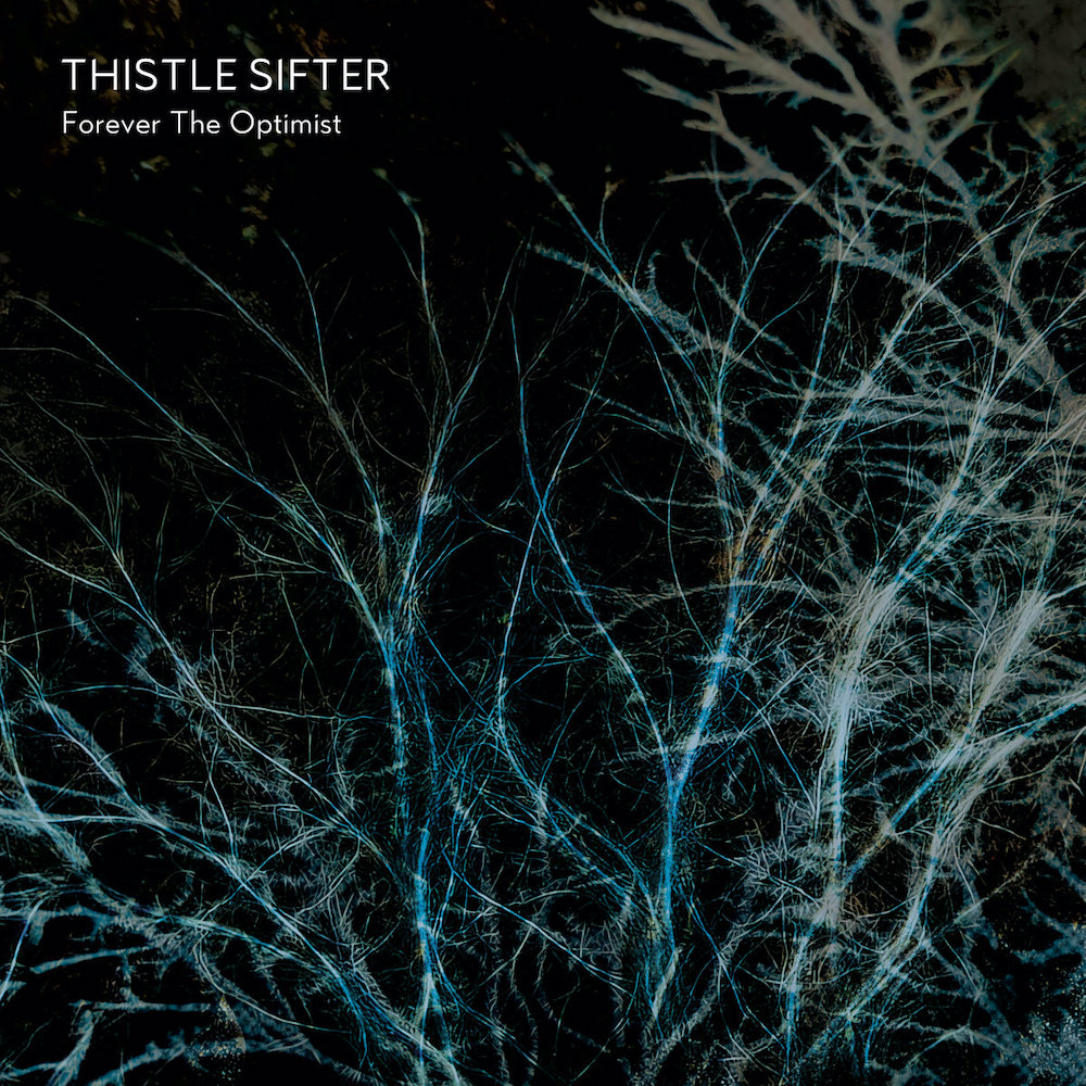 THISTLE SIFTER - Forever The Optimist